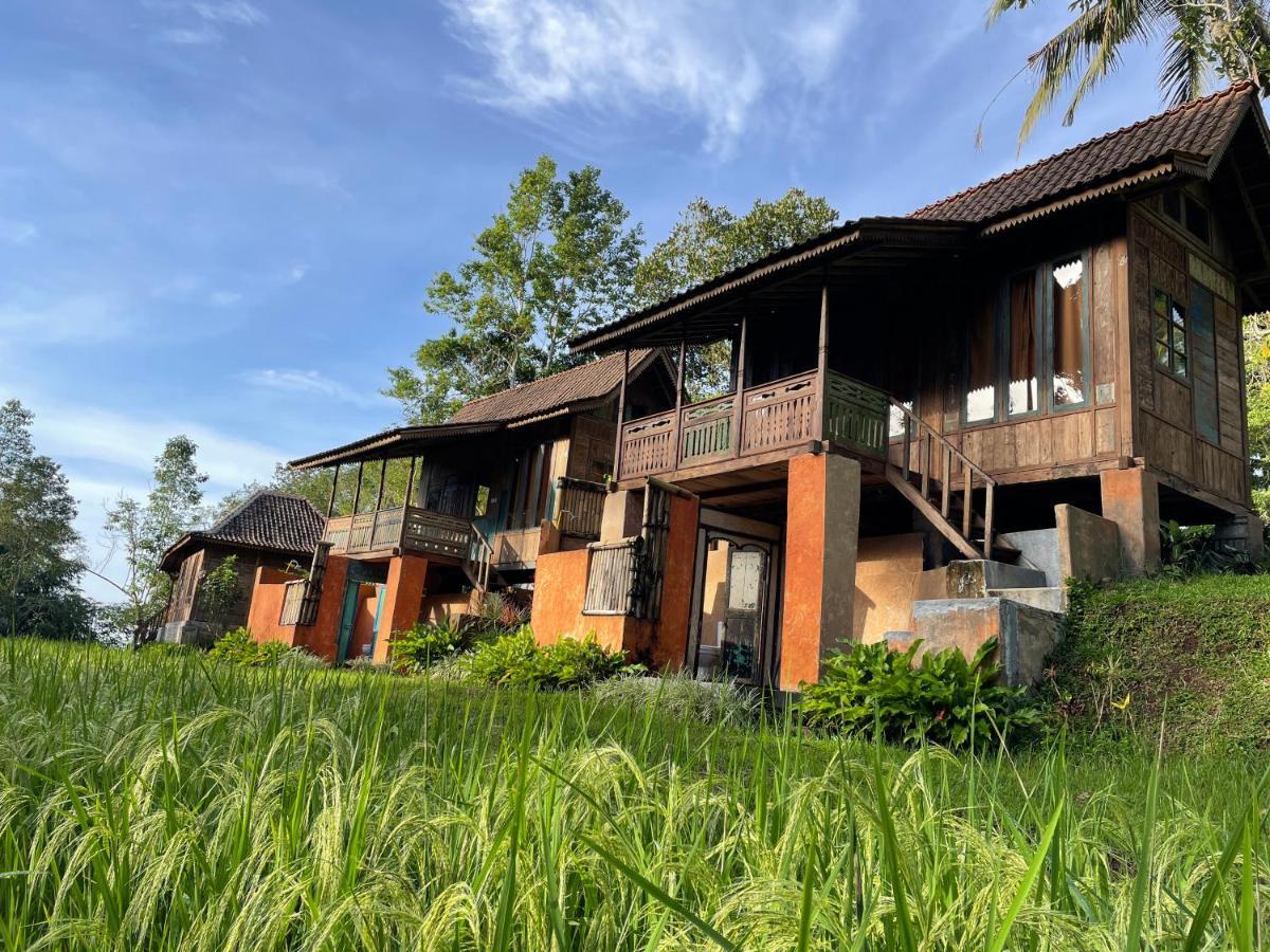 Oemah Tepi Sawah Jatiluwih Exterior foto