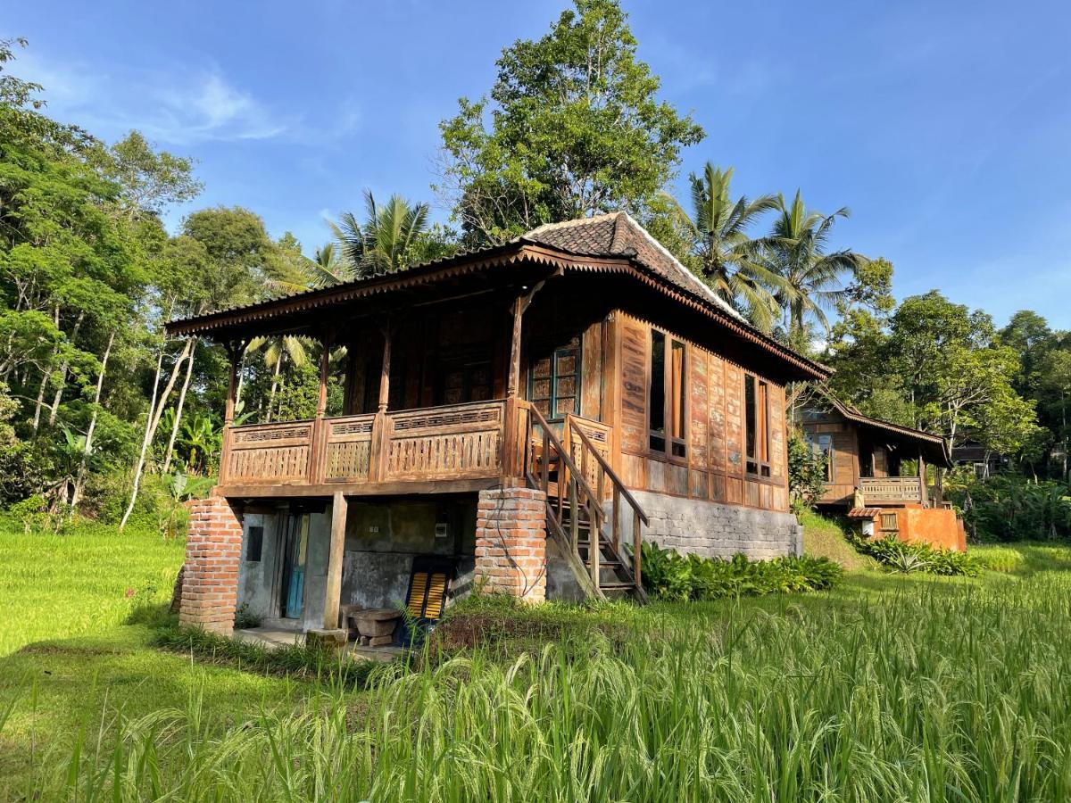 Oemah Tepi Sawah Jatiluwih Exterior foto