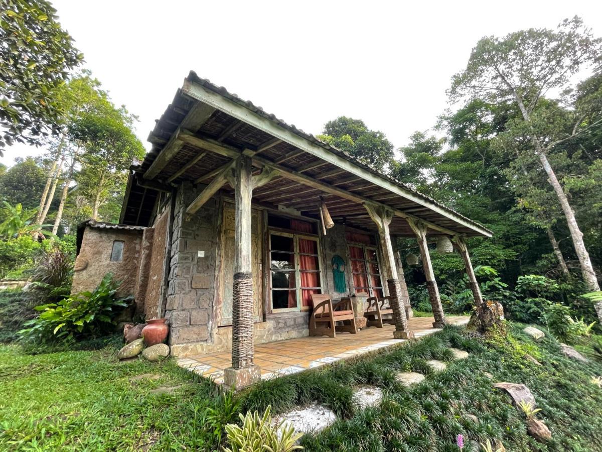 Oemah Tepi Sawah Jatiluwih Exterior foto