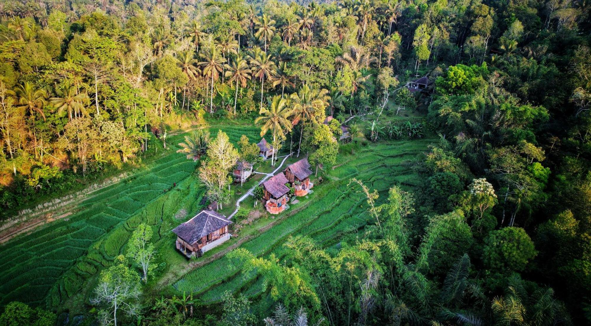 Oemah Tepi Sawah Jatiluwih Exterior foto