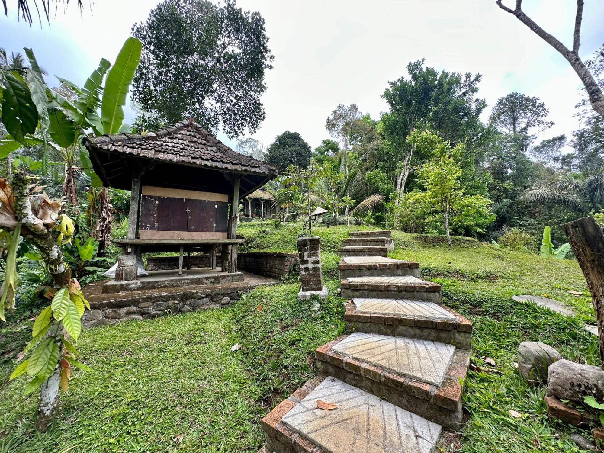 Oemah Tepi Sawah Jatiluwih Exterior foto