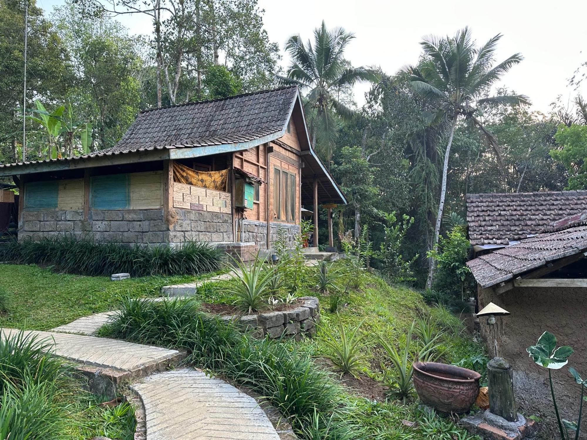 Oemah Tepi Sawah Jatiluwih Exterior foto