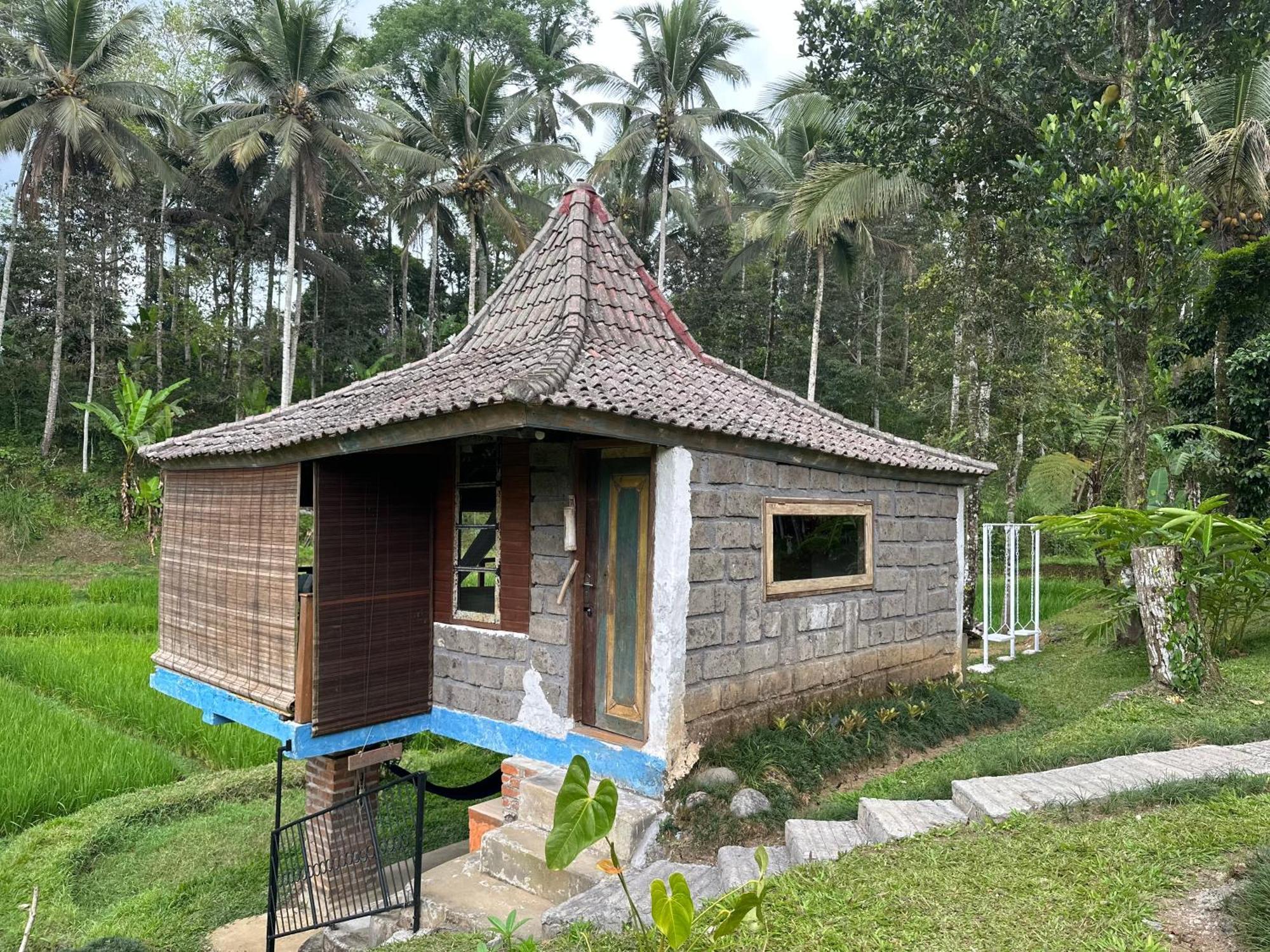 Oemah Tepi Sawah Jatiluwih Exterior foto