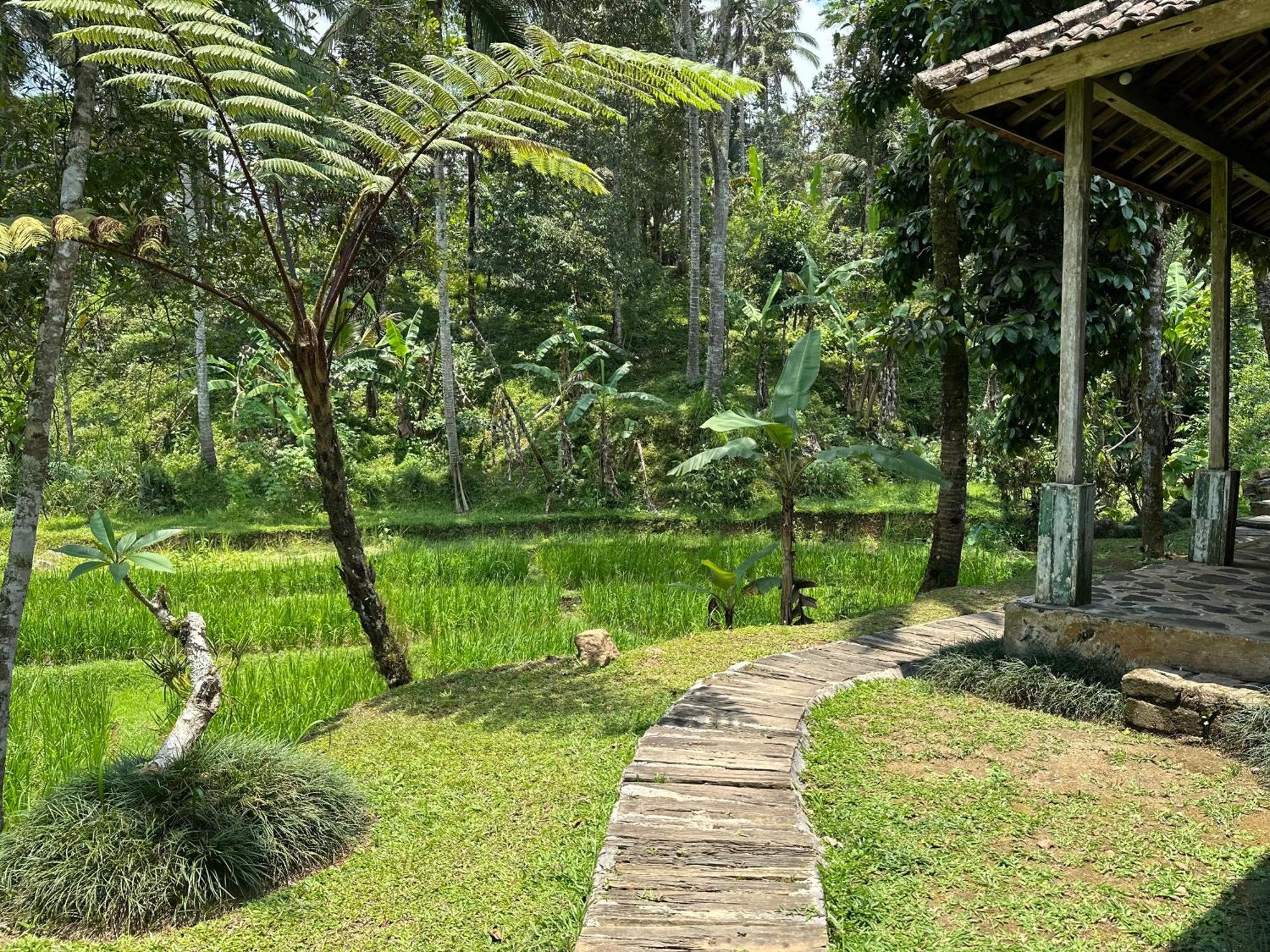 Oemah Tepi Sawah Jatiluwih Exterior foto