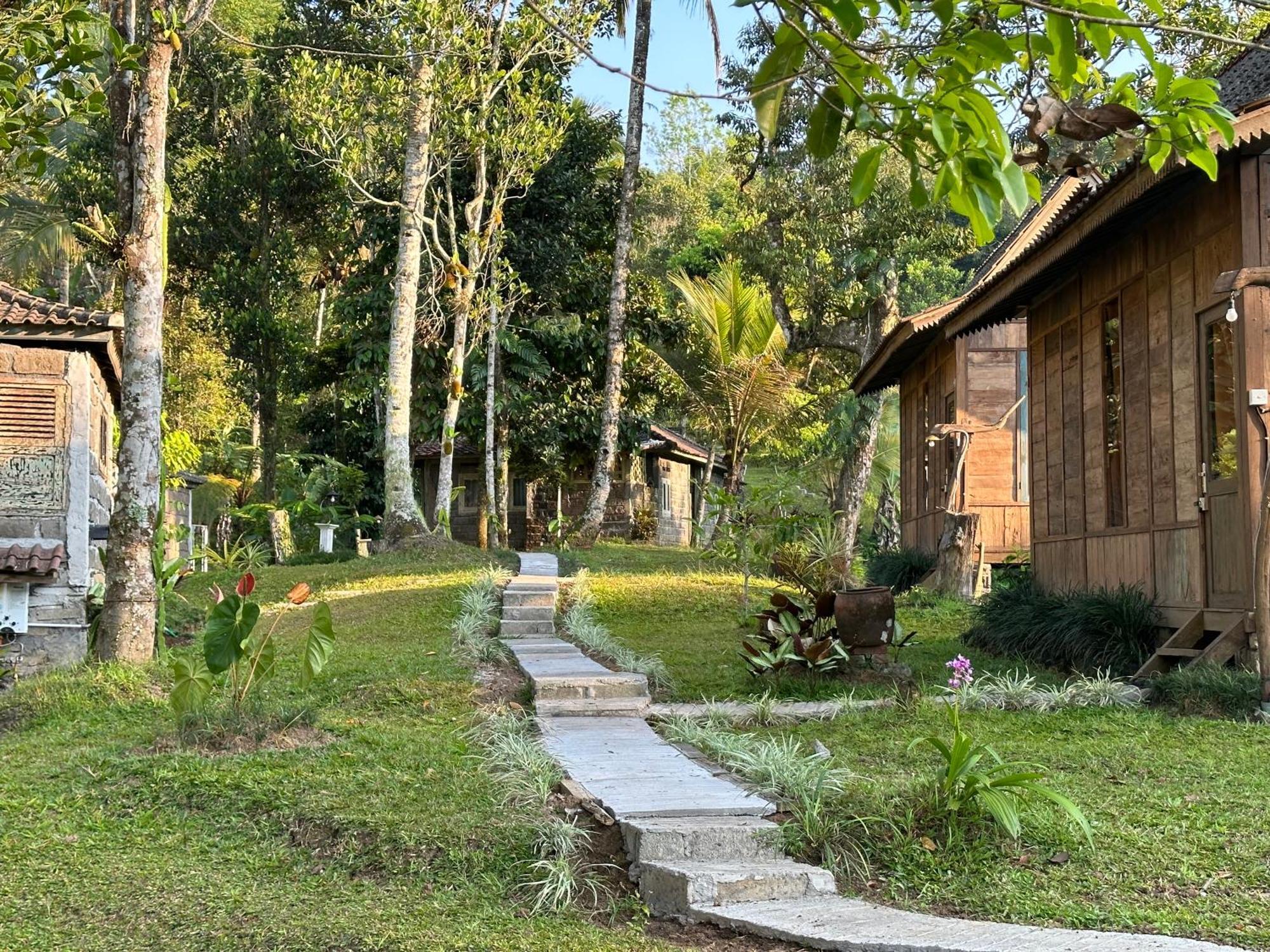 Oemah Tepi Sawah Jatiluwih Exterior foto