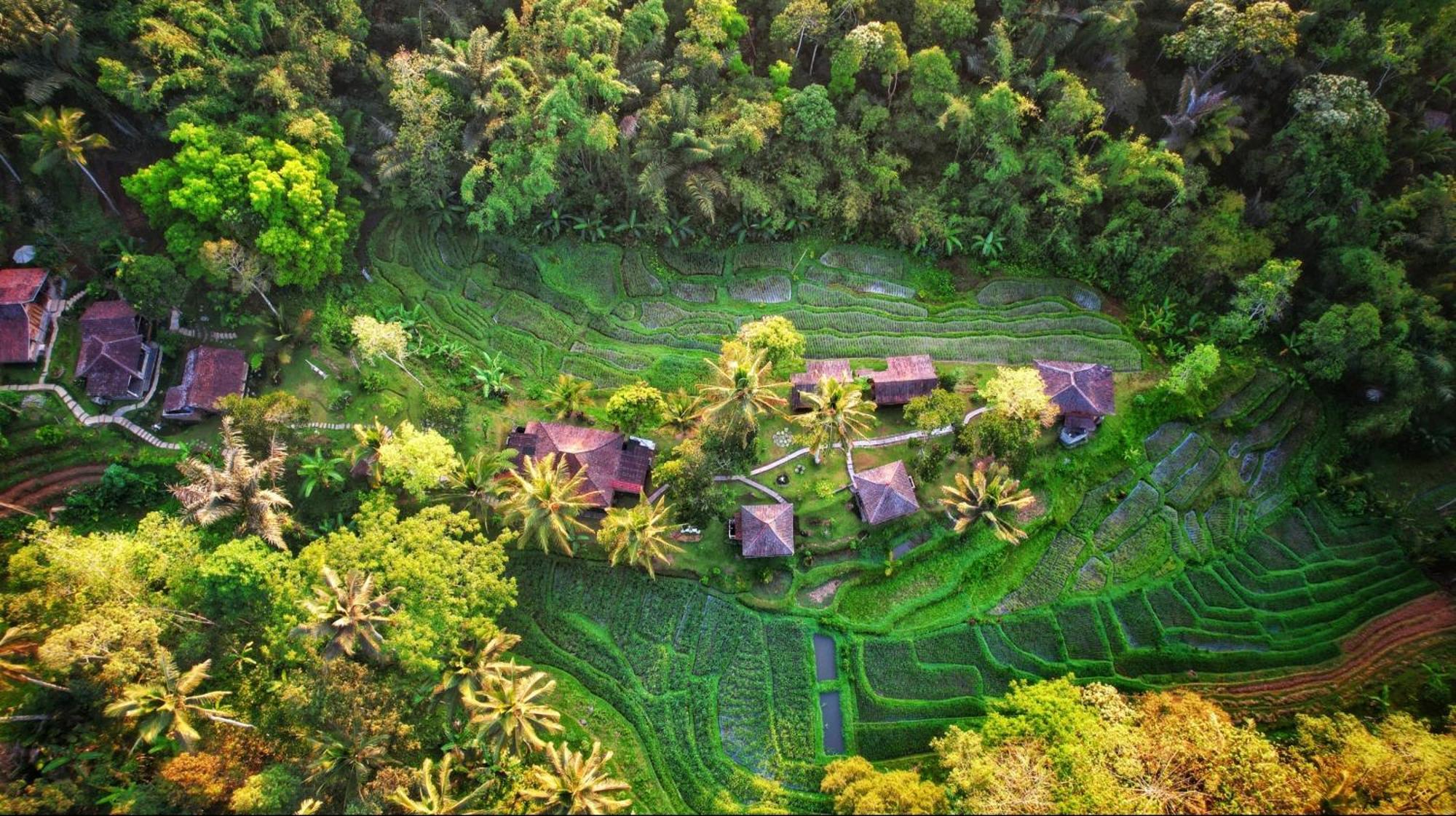 Oemah Tepi Sawah Jatiluwih Exterior foto