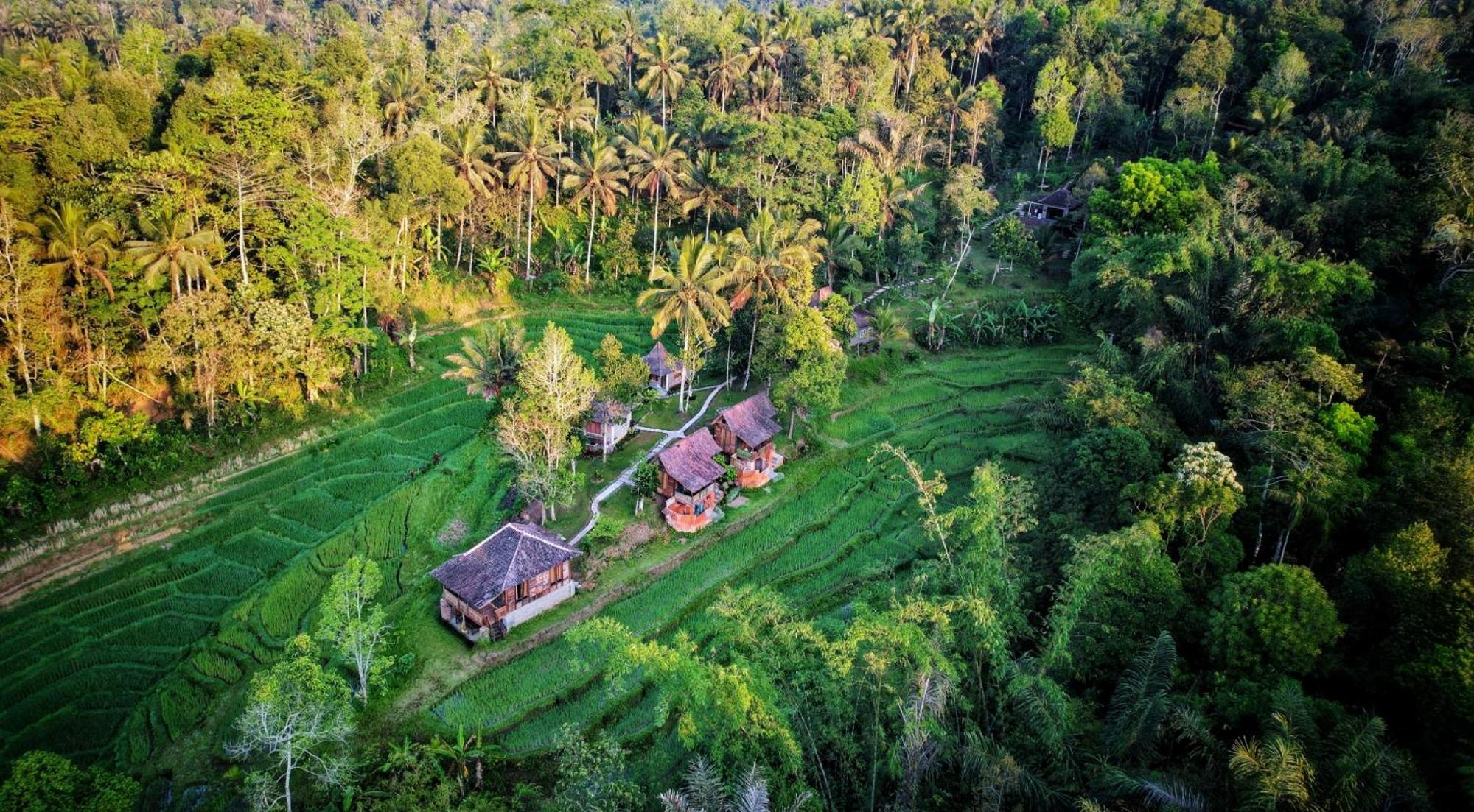 Oemah Tepi Sawah Jatiluwih Exterior foto