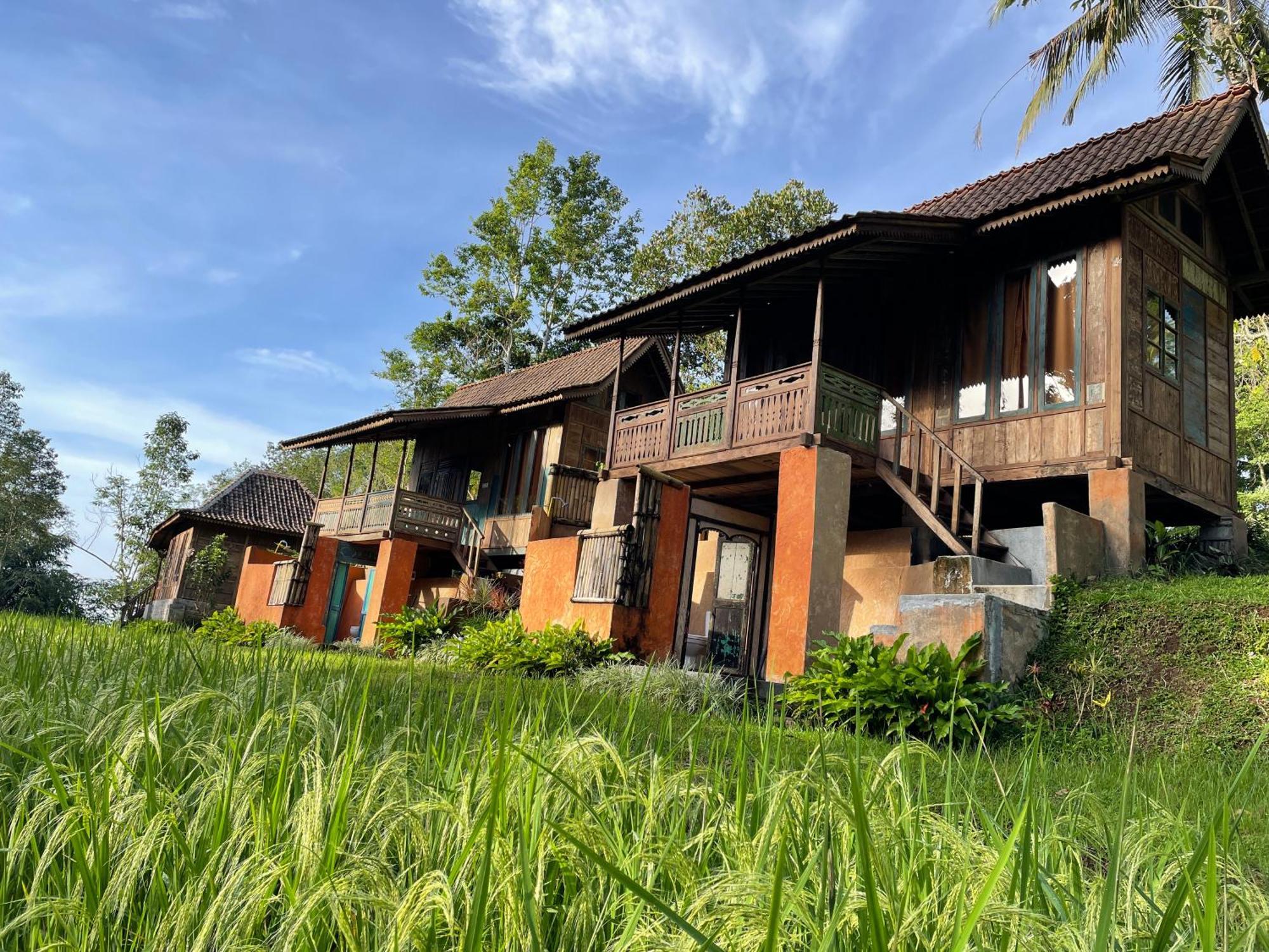Oemah Tepi Sawah Jatiluwih Exterior foto