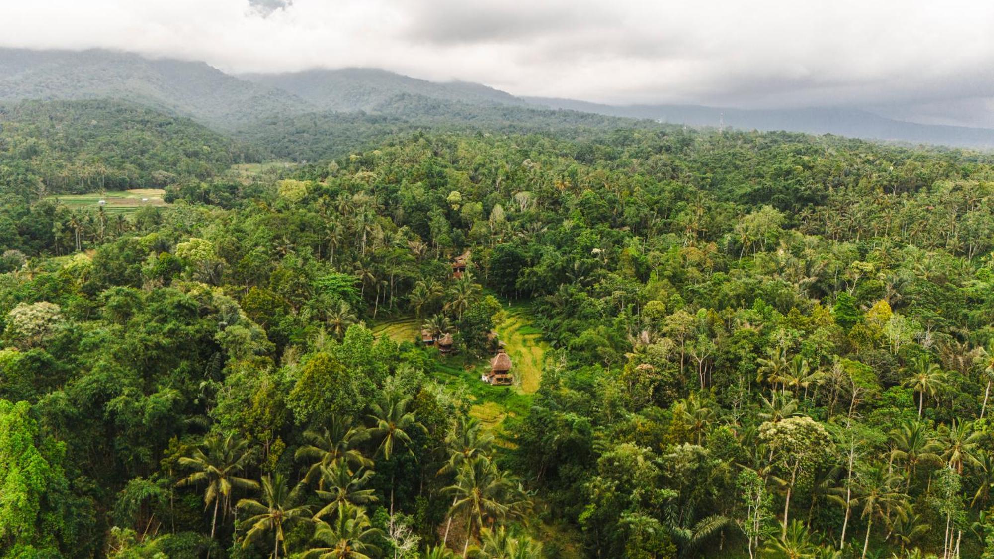 Oemah Tepi Sawah Jatiluwih Exterior foto